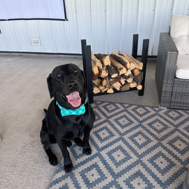 Firewood Carriers & Racks