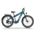 Himiway D5 Rhino (Plus/Ultra) Dual Battery Off-Road E-Bike